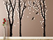 Wandtattoo zweifarbiger Birkenwald in schwarz und wei auf farbigem Untergrund